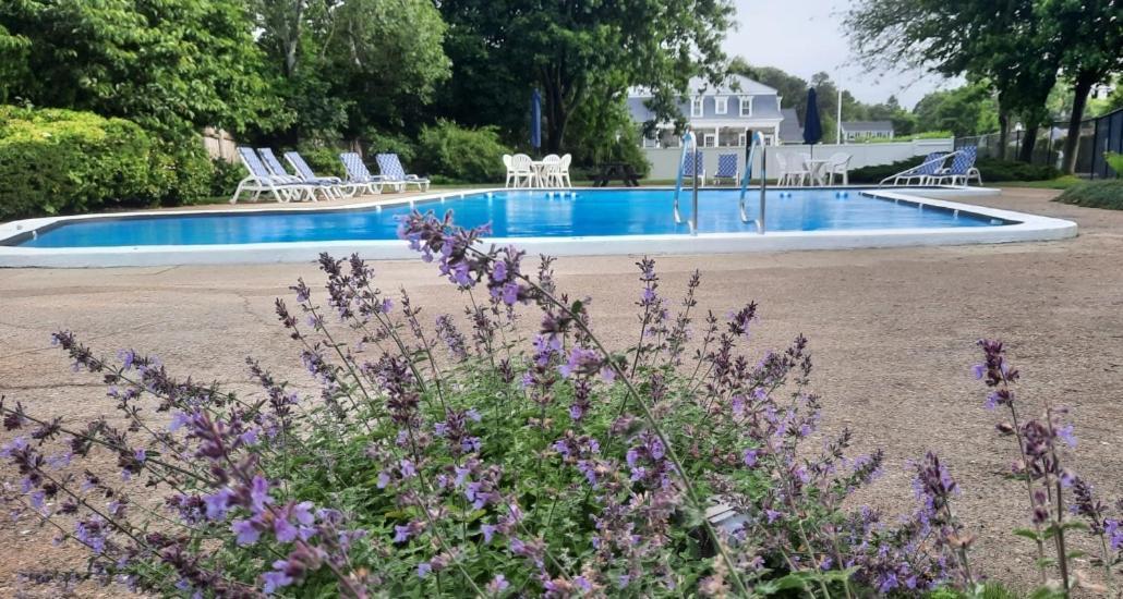 Harwichport Resort Club Гарвіч-Порт Екстер'єр фото